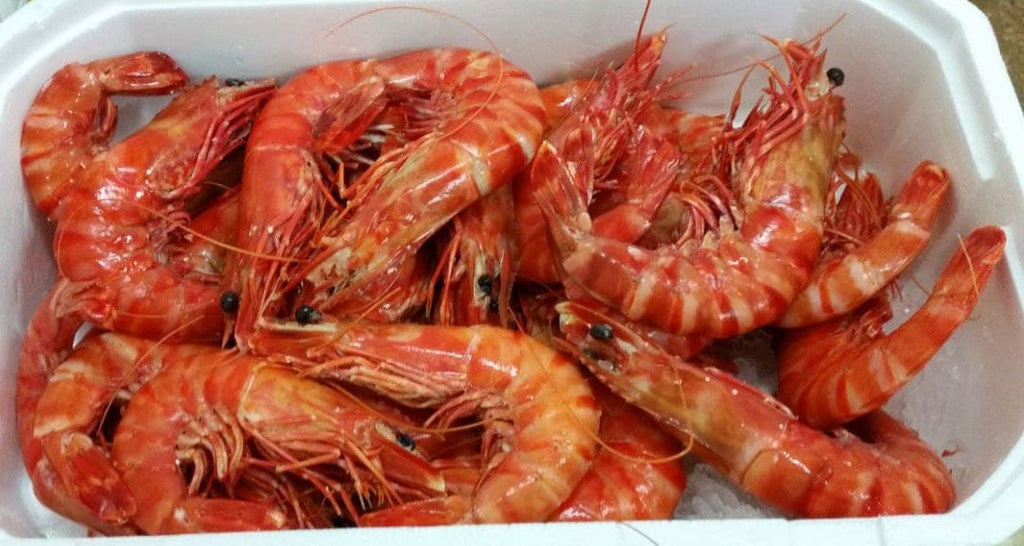 Crevettes cuites