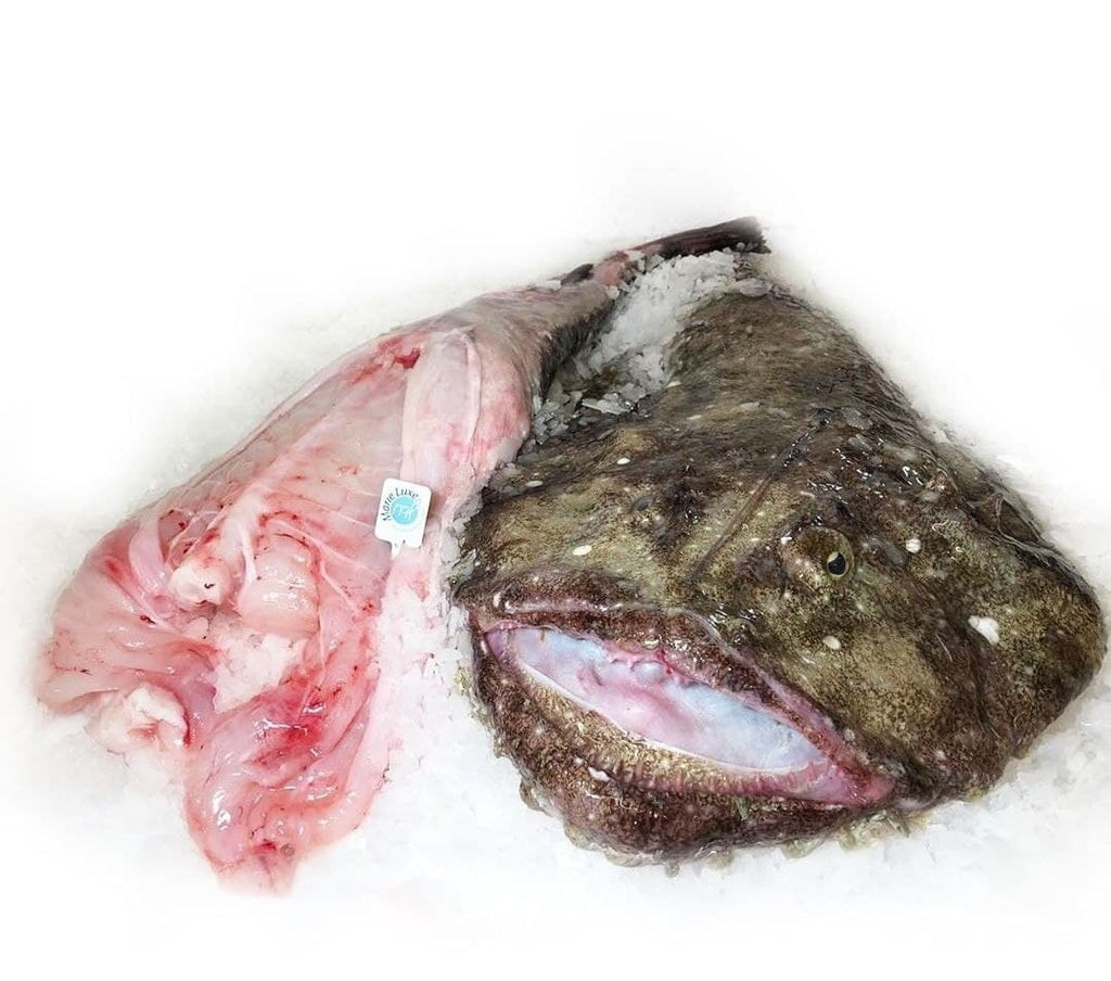 Monkfish